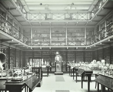 39-43 Lincoln's Inn Fields, Westminster LB, London: Royal College of Surgeons, museum room 2, 1911. Creator: Unknown.