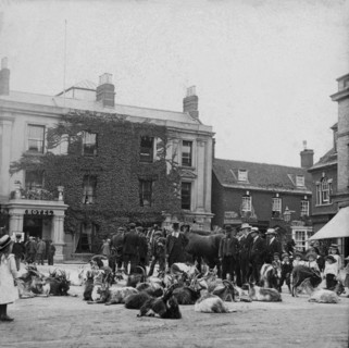 Goat market, possibly Ireland, 1895. Creator: Robert Augustus Henry L'Estrange.