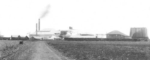 Little Rocky Point Sugar Mill, Near Woongoolba, Qld, 1882. Creator: Robert Augustus Henry L'Estrange.