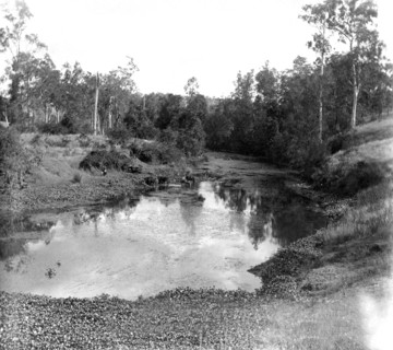 Moggill Creek near Brisbane, 1905. Creator: Ernest Melville.