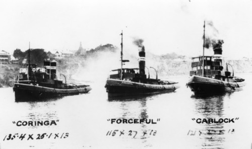 Tugboats: "Coringa", "Forceful", "Carlock", c1910s. Creator: Unknown.