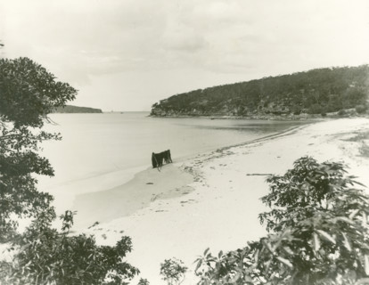 Chinamans Beach, Mosman, c1910s. Creator: Unknown.