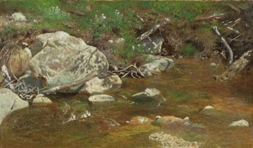 Mountain Brook: A Study, between c1863 and 1869. Creator: Alexander Helwig Wyant.