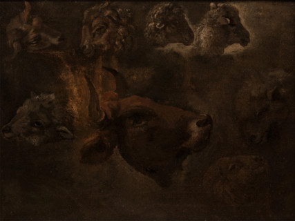 Studies of Animal Heads, between 1835 and 1840. Creator: Thomas Cole.