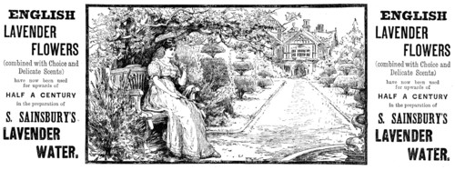 Advertisement for S. Sainsbury’s Lavender Water, 1890. Creator: Unknown.