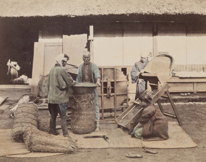 Sacking Grain, c1885. Creator: Unknown.