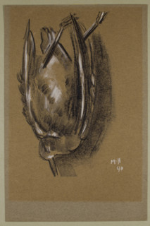 Gull, c1940. Creator: Marsden Hartley.