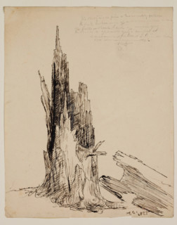 Lower Part of a Tree "Recently Fallen", 1825. Creator: Thomas Cole.