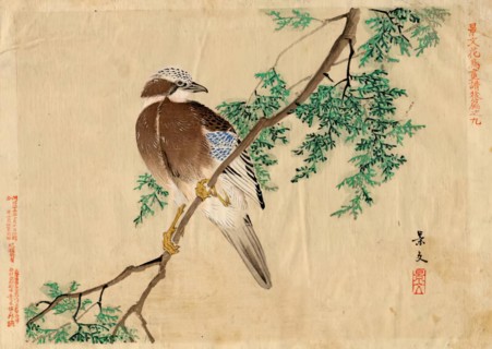 Keibun Kacho (flower and bird) vol 2 no.9, pub 1892. Creator: Matsumura Keibun.