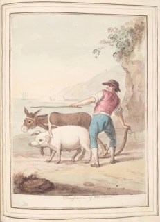 Ploughman of Minorca, leaf from 'A Collection of Dresses by David Allan Mostly from Nature', 1776. Creator: David Allan.