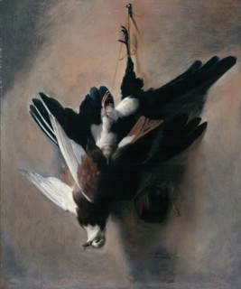 A Pigeon and Magpie, 1685. Creator: William Gowe Ferguson.