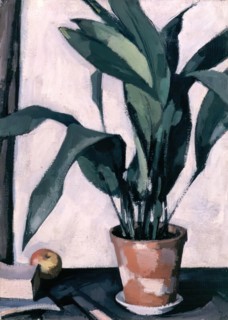 Aspidistra, 1927. Creator: Samuel John Peploe.