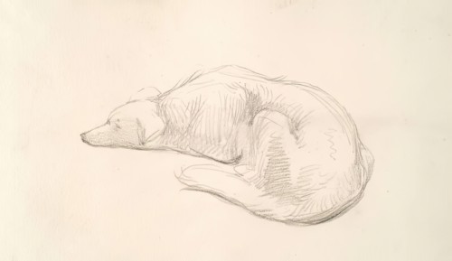 A Dog, c1830s. Creator: John Phillip.