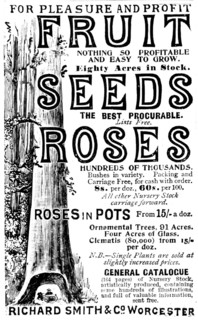 Advertisement for Richard Smith & Co's Fruit, Seeds and Roses, 1895. Creator: Unknown.