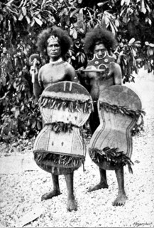 A Page from Papua: New Guinea warriors, 1895. Creator: George Meisenbach.