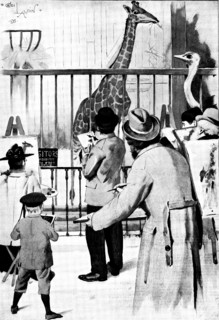 The New Giraffe at the Zoological Society's Gardens, Regent's Park: artists on duty, 1895. Creator: Unknown.