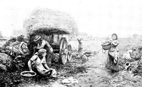Pictures from the New Gallery: Potato Harvest, Malvern Hills - John Parker, 1895. Creator: George Meisenbach.