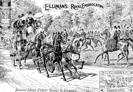 Advertisement for Elliman's Royal Embrocation, 1895. Creator: Joseph Swain.