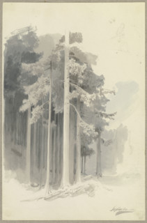 Poetic coniferous forest on a slope, sketch of a figure walking downhill (or leaning?)..., 1844. Creator: Carl Theodor Reiffenstein.