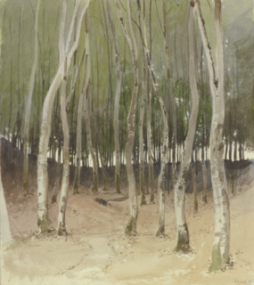 Birch forest, 1855. Creator: Carl Theodor Reiffenstein.
