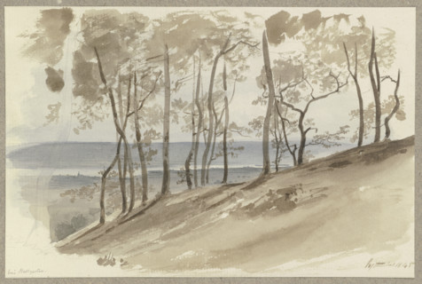 Group of trees on a slope near Hallgarten, the Rhine and a ridge in the background, 1845. Creator: Carl Theodor Reiffenstein.