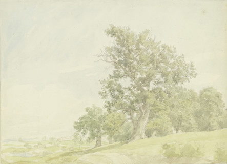 Forest edge at the slope, c1850-1900. Creator: Peter Becker.
