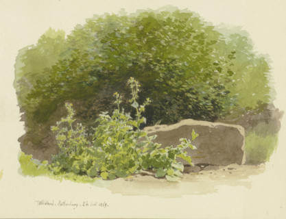 A plant next to a stone block, with bushes behind it, 1869. Creator: Carl Theodor Reiffenstein.