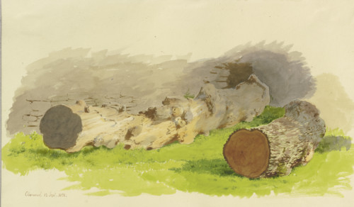 Sawed-off tree trunks in front of a wall in Oberwesel, 1858. Creator: Carl Theodor Reiffenstein.