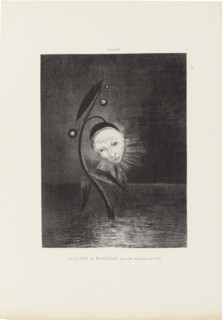Homage to Goya: The Marsh Flower, 1885. Creator: Redon, Odilon (1840-1916).