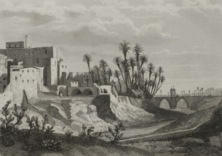 Elche, Alicante province, Spain, 1853.  Creator: Antonio Roca Sallent.