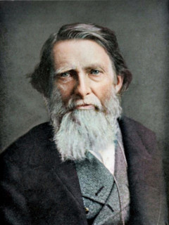 Portrait of John Ruskin, c1890s. Creator: Elliott & Fry.