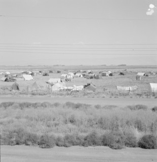 Untitled, between 1935 and 1942. Creator: Dorothea Lange.