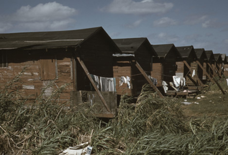 Houses condemned by the Board of Health, Belle Glade, Florida, USA, 1941.  Creator: Marion Post Wolcott.