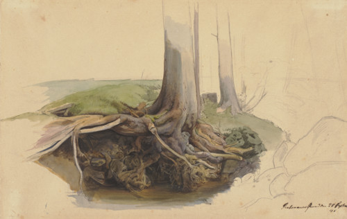 Tree trunk and roots, 1845. Creator: Ernst Ferdinand Oehme.