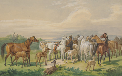 A saddled military horse returns to its wild herd, 19th century. Creator: Johann Erdmann Gottlieb Prestel.