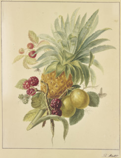A pineapple, plums, and raspberries. Creator: Jan Evert Morel.