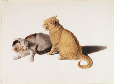 Two young cats fighting, 18th century. Creator: Gottfried Mind.