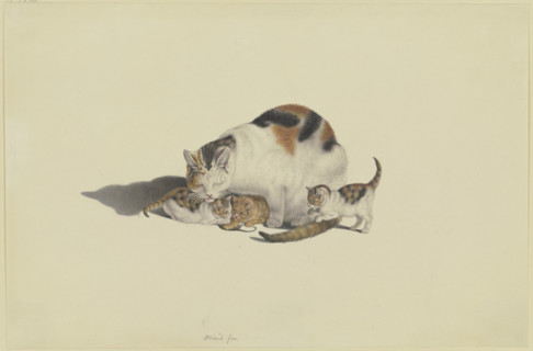 White cat, black and reddish-brown spotted, with her three kittens playing with a mouse, 18th cent. Creator: Gottfried Mind.