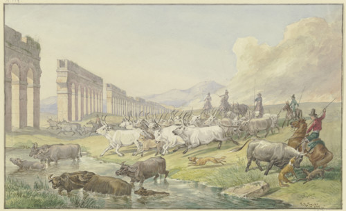 Roman peasants drive a herd of oxen and buffalo through the Water, 1838. Creator: Johann Erdmann Gottlieb Prestel.