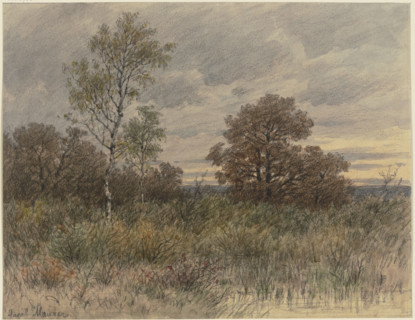 Rainy landscape with oaks and birches standing in marshy terrain, 19th century. Creator: Jakob Maurer.