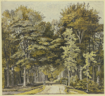 Path through a beech forest, with a wooden bridge in front, 18th century. Creator: Martinus van der Jagt.