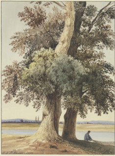 Two trees on the river, 1833. Creator: Ludwig Daniel Philipp Schmidt.