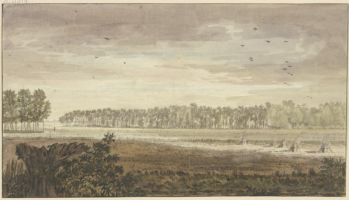 Landscape, a long grove in the background, fields with some sheaves of grain in..., 18th century. Creator: Jacobus van Liender.