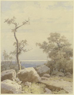Bare tree among stone blocks, 1880. Creator: Carl Theodor Reiffenstein.