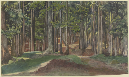Inside a forest, 19th century. Creator: Theodor Alt.