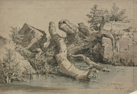 Fallen tree by a stream, 1856. Creator: Johann Heinrich Hasselhorst.