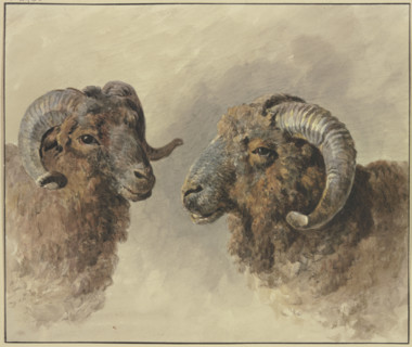 Two sheep, 18th century. Creator: Jacob van Strij.