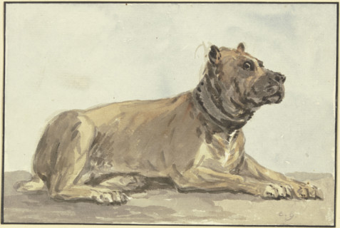 Reclining Great Dane, head raised, 18th century. Creator: Conrad Gesner.