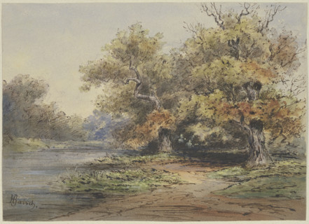 Lakeshore with tall trees, 19th century. Creator: Hermann Baisch.