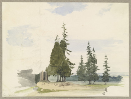 Conifers in a plain near Ilsenburg in the Harz Mountains, c1844. Creator: Carl Theodor Reiffenstein.